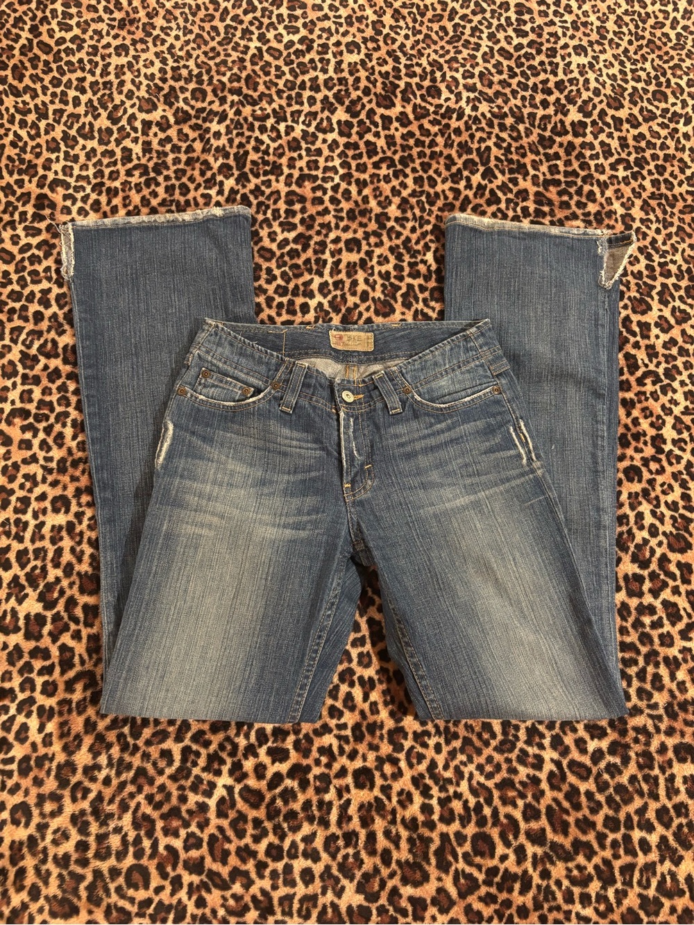 BKE Women's Flare Jeans in Medium Blue Wash
